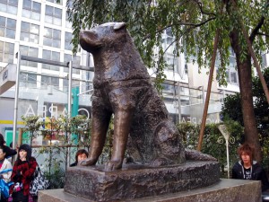 hachi statue