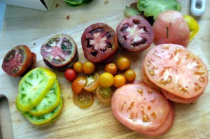 tomato-colors