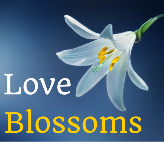 Why do girls like Flowers so much? Bro4u Blog