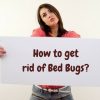 How to get rid of Bed Bugs_