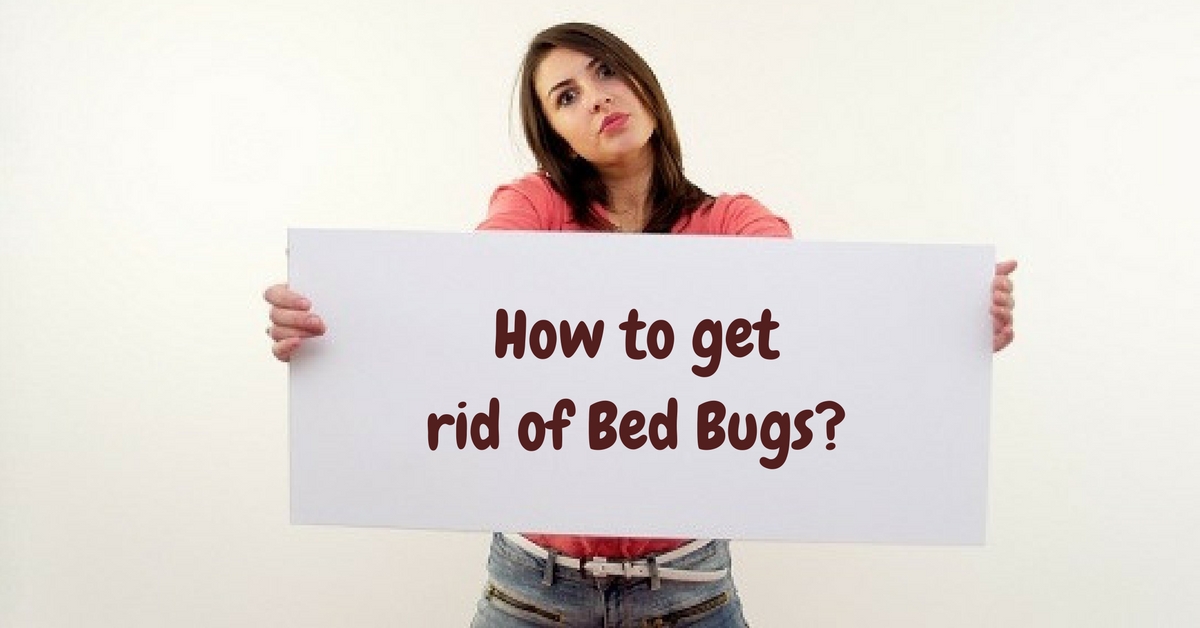How to get rid of Bed Bugs_