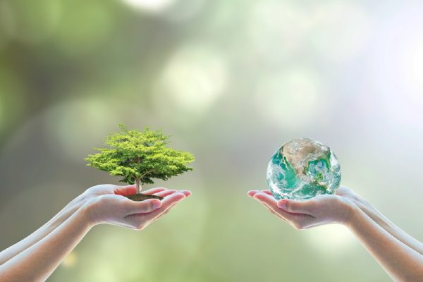 Tips to help save Mother Earth this Environment Day | Bro4u Blog