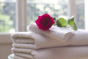 smelly-towels-rose