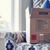 packers and movers price banner