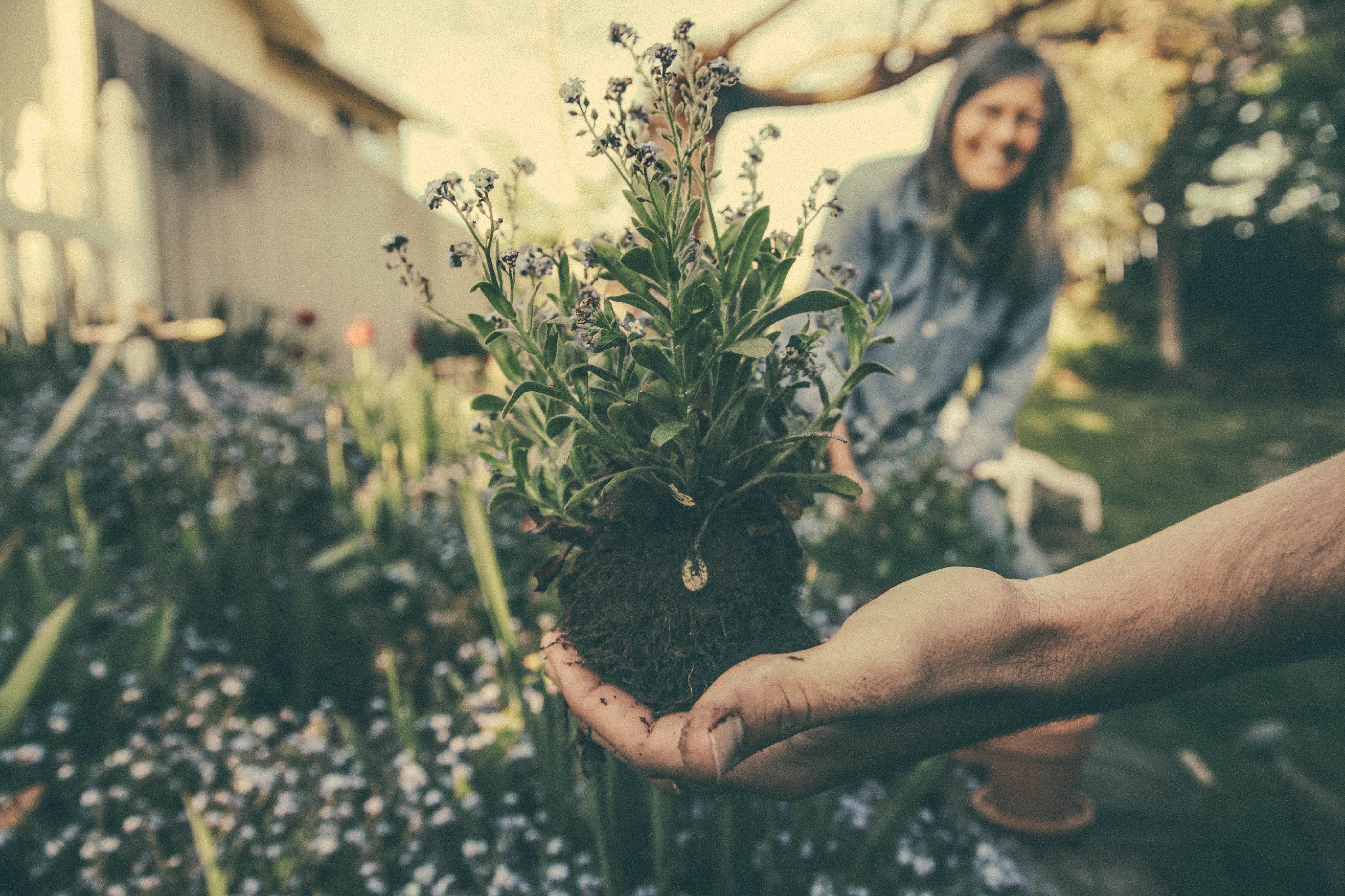 gardening service price