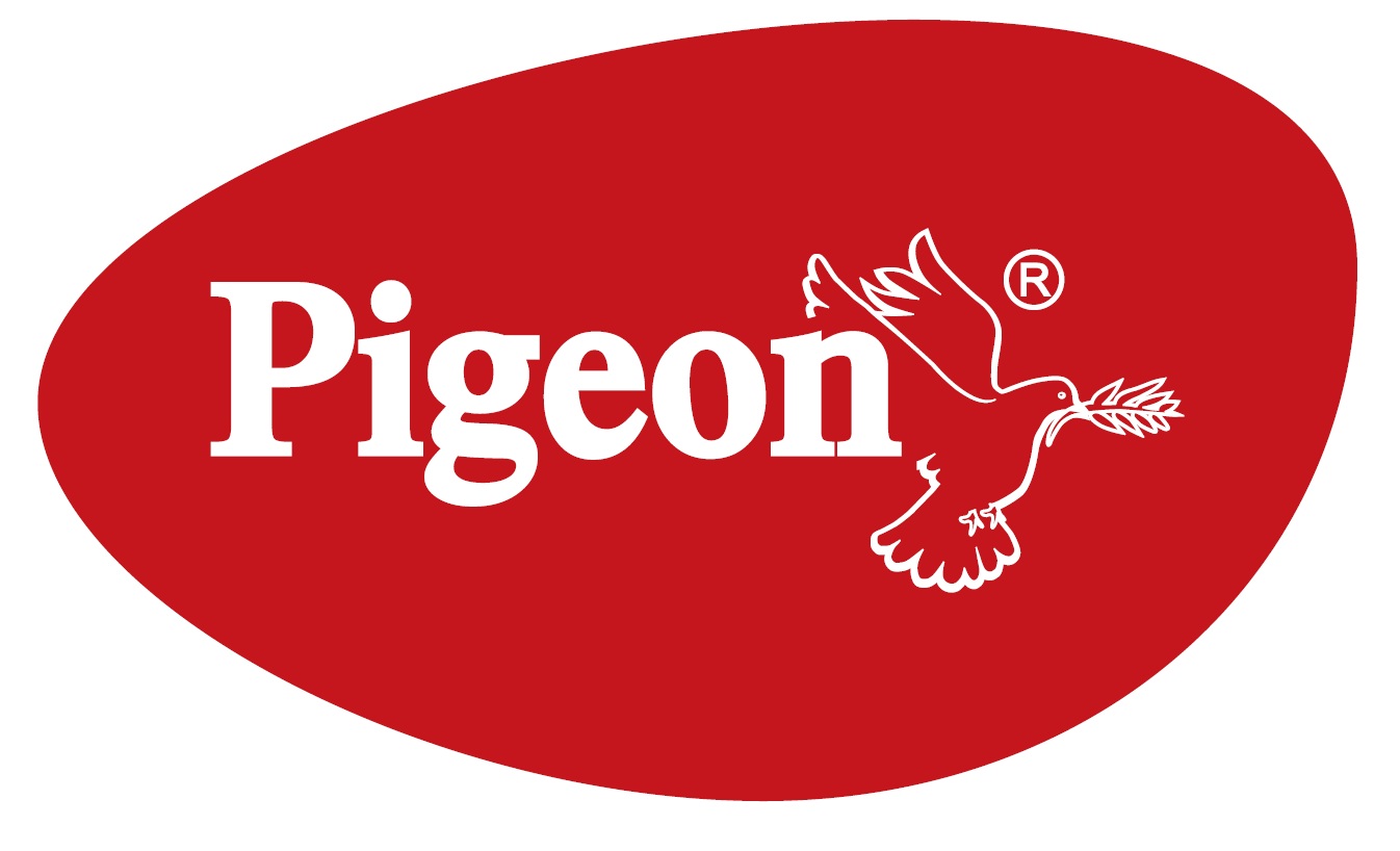 pigeon chimney service center