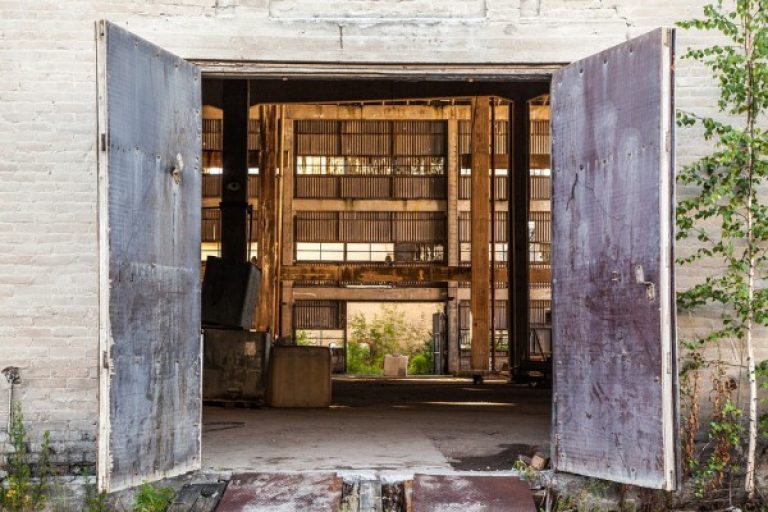 Which Company Offers The Best Services For Pest Control In Hyderabad